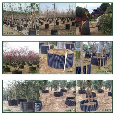 江西大型農場栽花種植控根器與樹木控根容器的應用